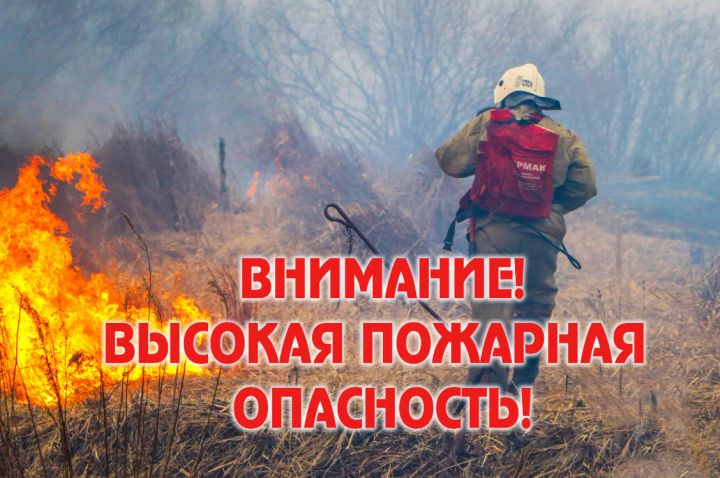 Авиалесоохрана сообщила, где в РФ будут гореть леса в августе: ЛНР и ДНР в зоне опасности