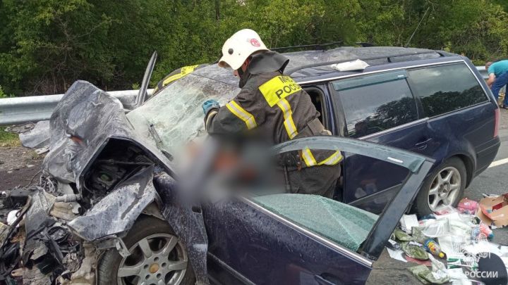 Смертельное лобовое столкновение произошло в ЛНР: оба водителя погибли на месте