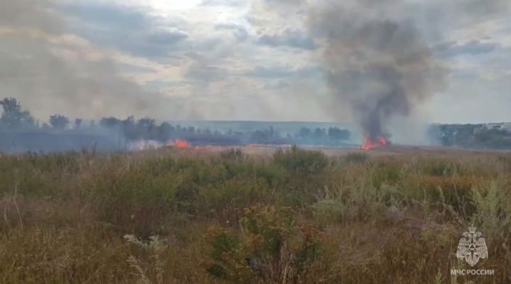 Пожарные спасли от возгорания птицефабрику в одном из районов ЛНР