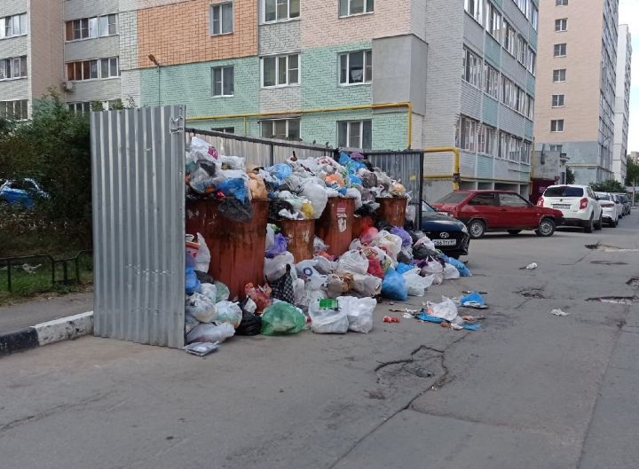 Прокуратура ЛНР выяснила, кто виноват в появлении несанкционированных свалок в Луганске