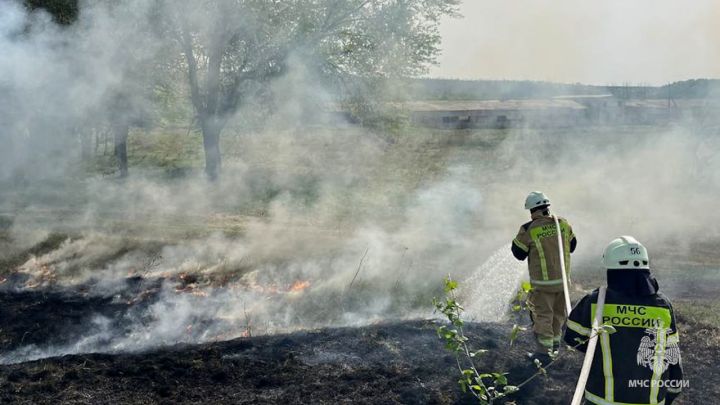 Огонь с полей переходит на жилсектор ЛНР и уничтожает целые улицы: в каких районах сложилась критическая ситуация