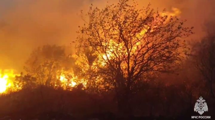 Сильнейший пожар ликвидируют в одном из районов ЛНР вечером 14 сентября: горят два населённых пункта