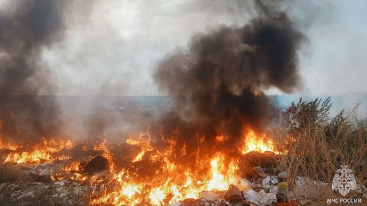 Прокуратура ЛНР занялась ситуацией с пожарами в Республике: имеются признаки поджогов