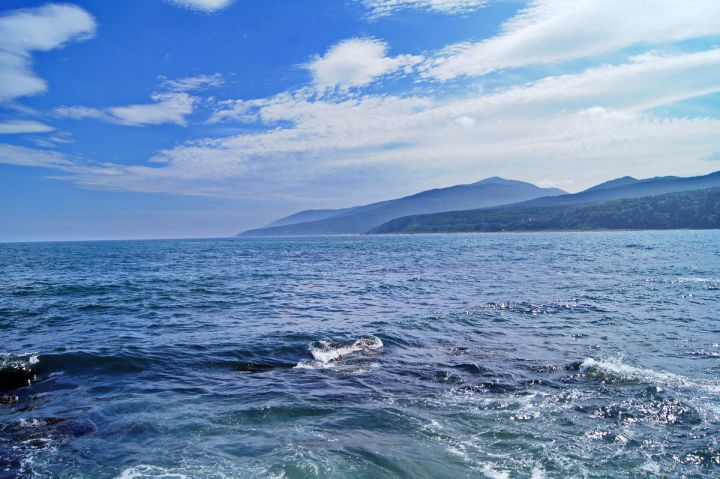 У берегов Камчатки спасли мужчину, который больше двух месяцев дрейфовал на лодке в Охотском море