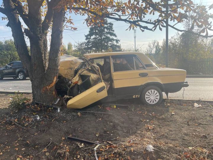 Авто буквально «обняло» дерево: свердловчанин поплатился жизнью за лихачество