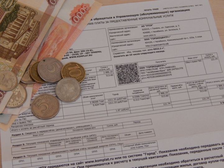 Пенсионерке в ДНР насчитали долг за свет в 15 тысяч из-за сбоя в программе: РЭС грозит ей отключением