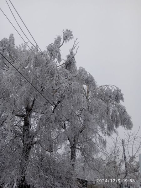 Непогода наделала беды: новый день в ЛНР начался с ещё больших отключений света