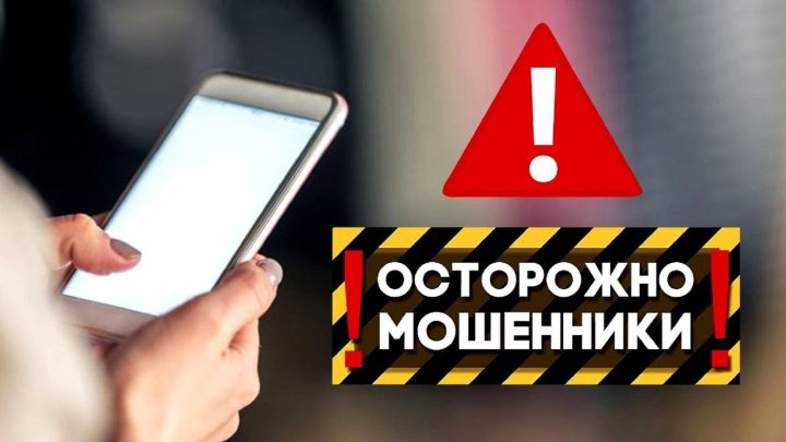 Жителей ЛНР предупредили о «новогодних» схемах мошенников