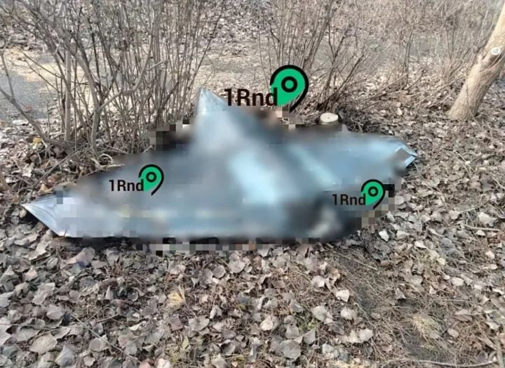 Жители Ростовской области обнаружил в кустах упавший беспилотник