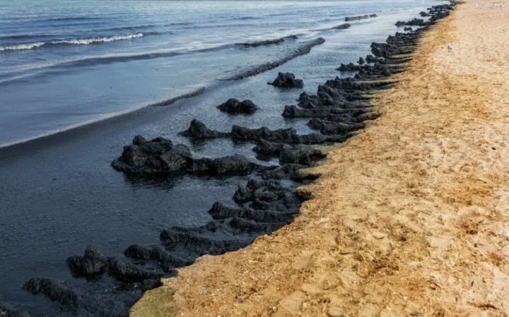 Песок с мазутом с побережья Черного моря запретили ввозить в Ростовскую область: власти пытаются обезопасить регион от экологической катастрофы