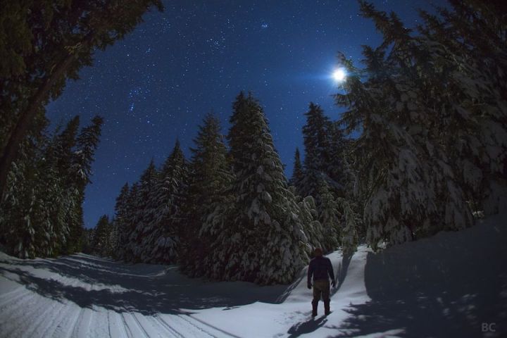 Морозную ночь и снежный день обещают синоптики в ЛНР 6 февраля