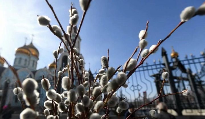 Вербная неделя: что нельзя сажать в огороде?