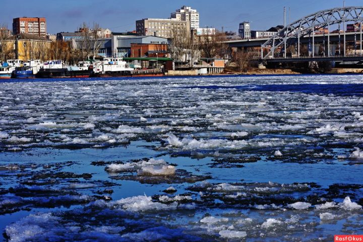 Ростовской области грозит экологическая катастрофа из-за сгона воды из реки