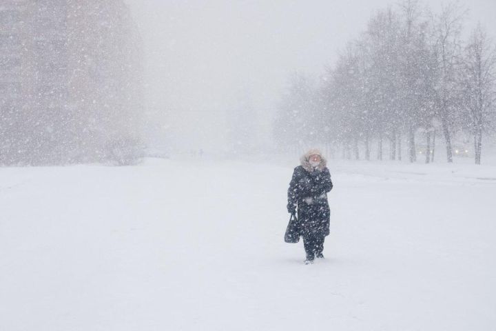 Штормовой ветер, метель и гололедица: погода в ЛНР 15 февраля окажется неблагоприятной