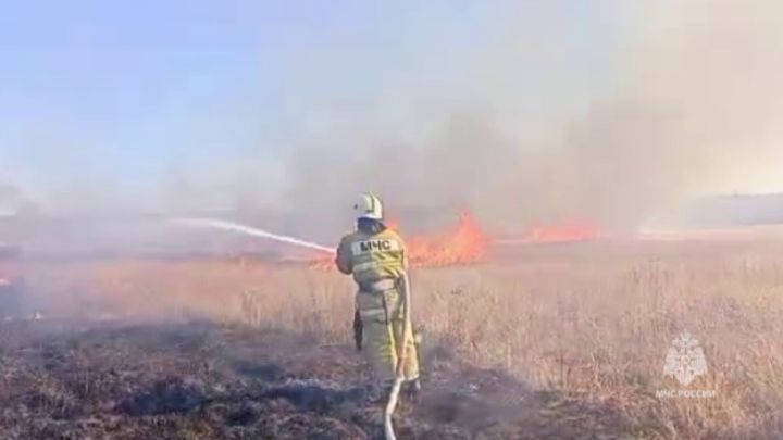 Стала известна причина масштабного пожара над Луганском