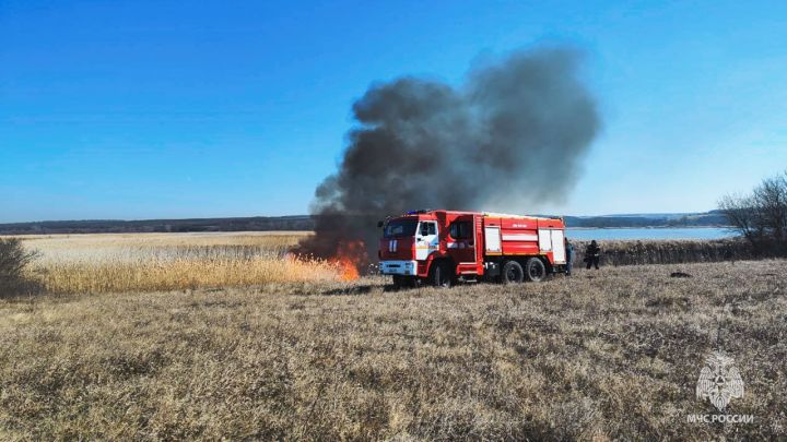 С зимы сразу в лето: в ЛНР начались масштабные степные пожары
