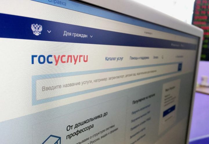 Выплата пособий, аттестация педагогов и многое другое: какие услуги в ЛНР будут предоставлять онлайн