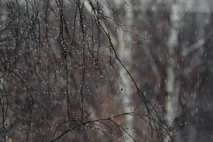 Гроза, ливень и сильный ветер: какая погода ожидается в ЛНР в последний день марта