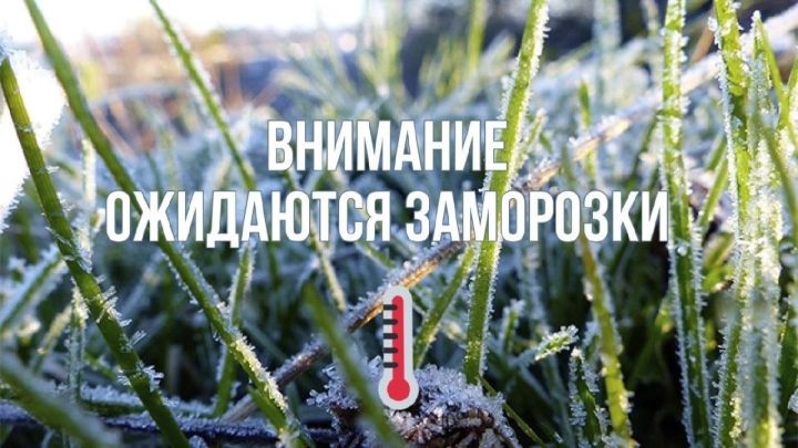 Внимание, жители! Экстренное предупреждение в связи с заморозками будет действовать в ЛНР