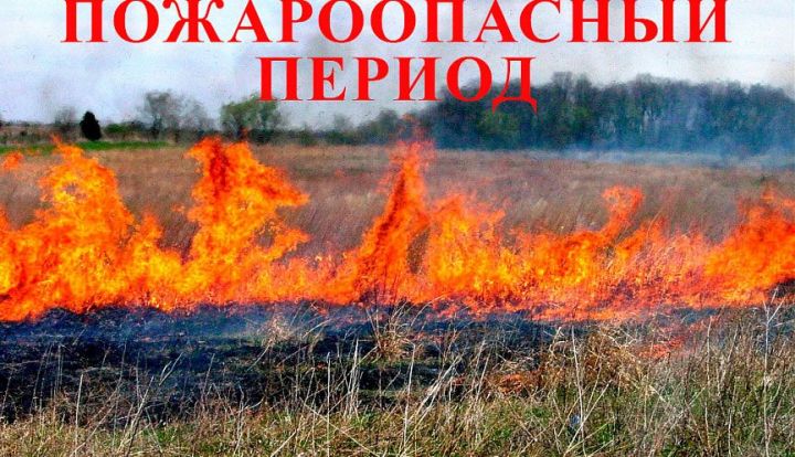 Внимание! В ЛНР уже начался пожароопасный сезон и определены территории, находящиеся в зоне риска