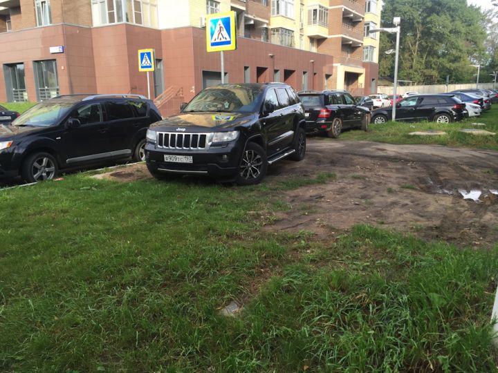 Луганчан начнут штрафовать за парковку на газонах во дворах