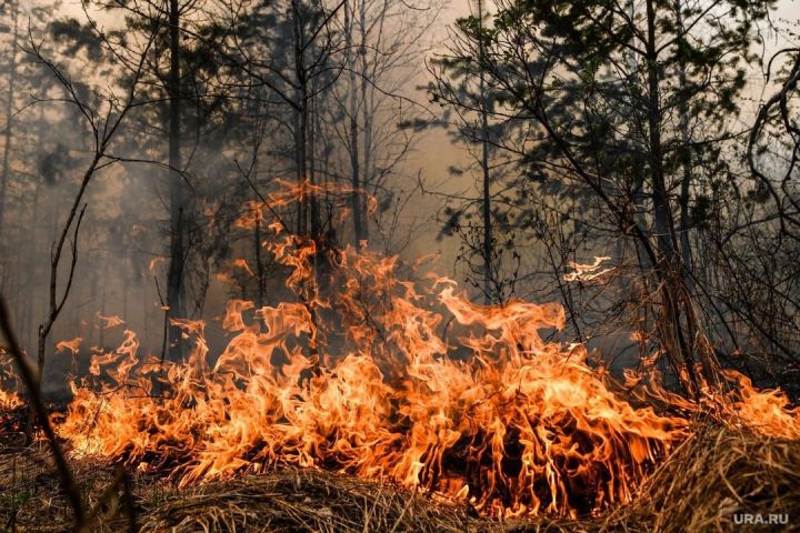 Внимание, жители! В ЛНР на два дня объявлено экстренное погодное предупреждение