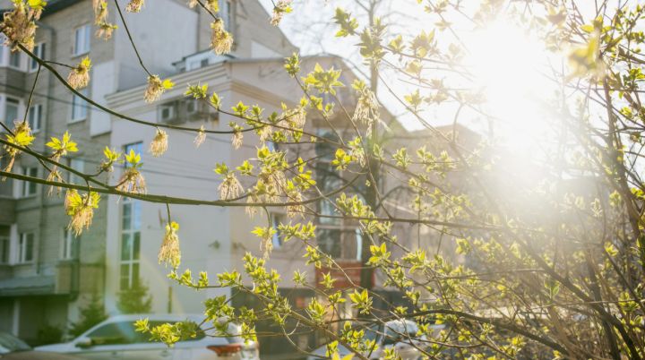 Обильное тепло в сочетании с усилившимся ветром: какой погоды ждать жителям ЛНР 19 апреля?
