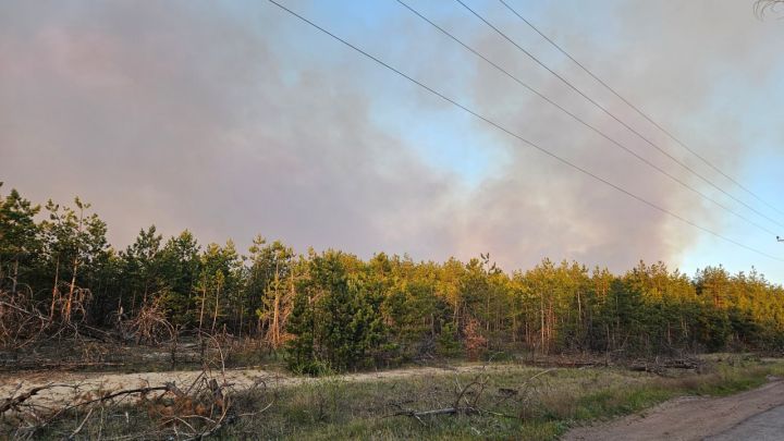 Внимание! В одном из городов ЛНР ввели режим ЧС из-за масштабного пожара