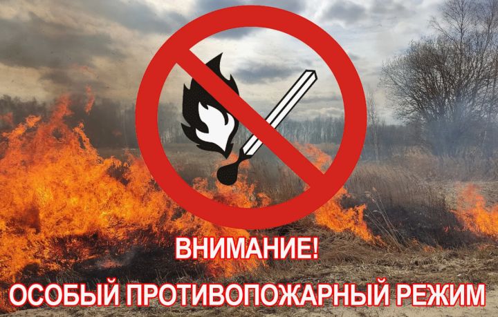 Внимание, жители! До конца октября в ЛНР введён особый противопожарный режим
