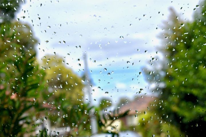 Перед выходными потеплеет и местами задождит: прогноз погоды в ЛНР на 16 мая