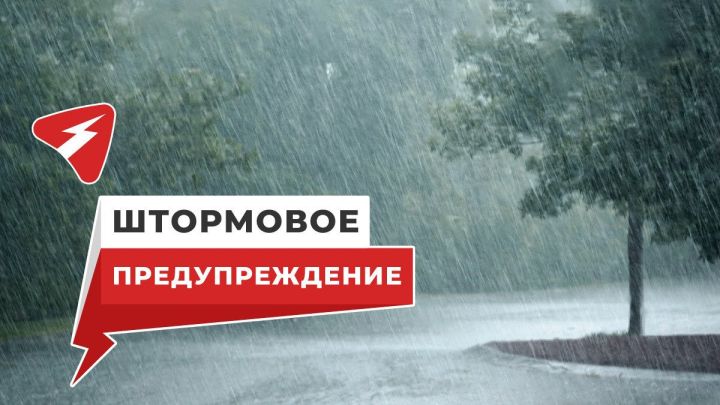 Внимание, жители! Штормовое предупреждение и ухудшение погоды объявлено в ЛНР на 20 мая