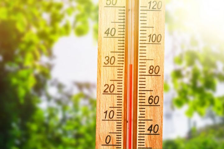 Первые +30 на градуснике: в ЛНР постепенно приходит жара