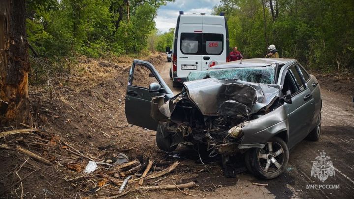Столкновение с деревом оказалось фатальным: в Луганске произошло ДТП с погибшим и пострадавшим