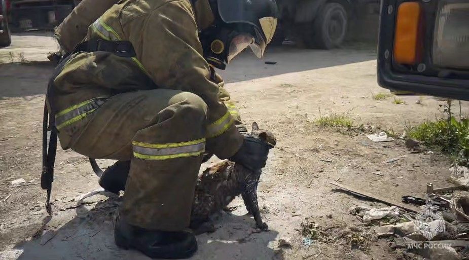 пожар