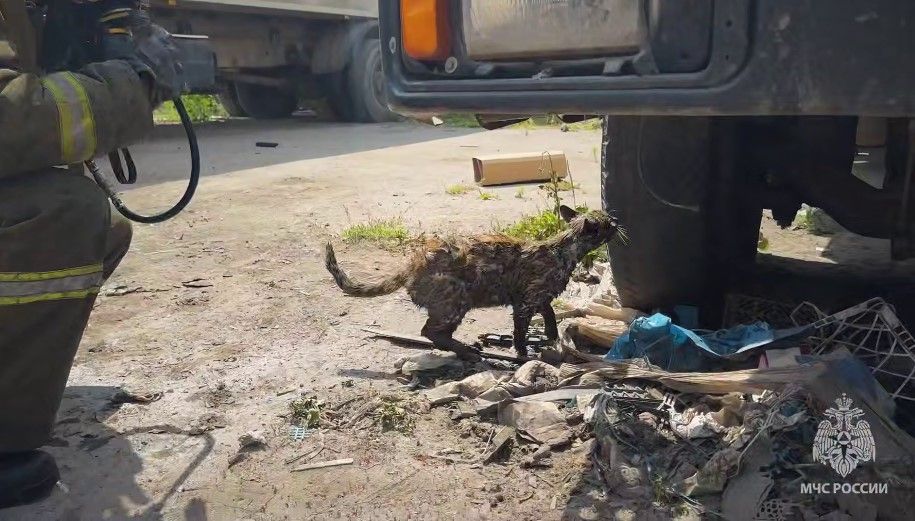пожар