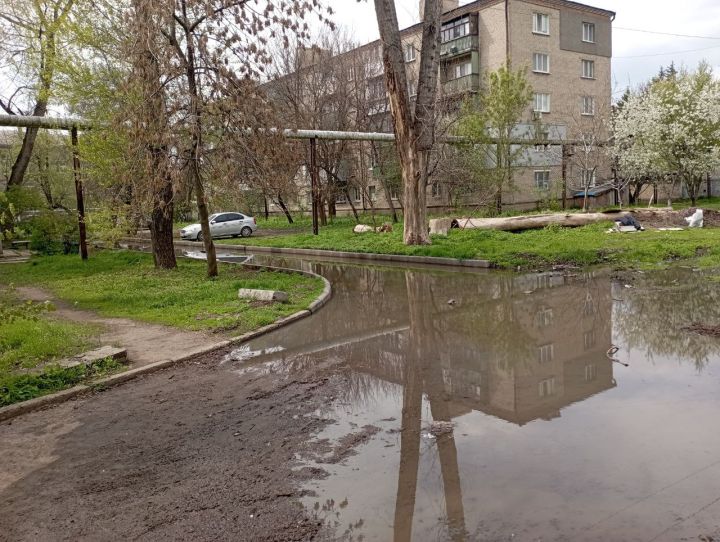 Зловонное «море» квартала Гаевого в Луганске