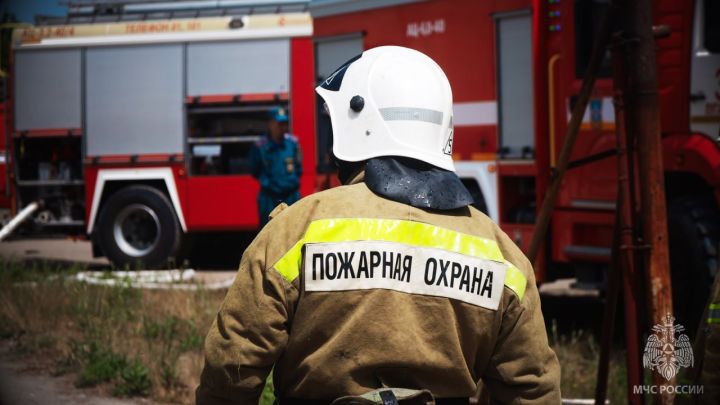 В центре Луганска горела квартира в многоэтажке: пожарные спасли от огня людей и животных
