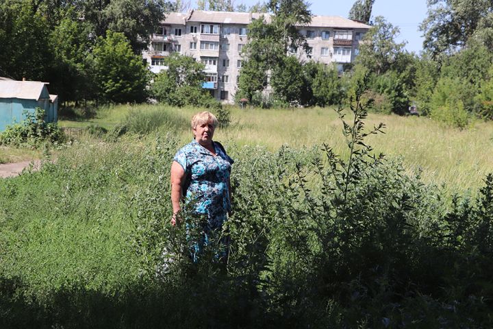 Стоит трава некошена, все вокруг заброшено? Как обстоят дела с покосом травы в Краснодонском округе сегодня