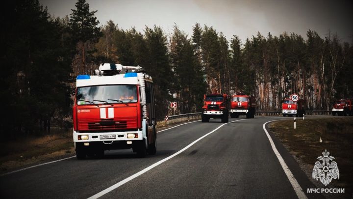 Экстренное предупреждение на фоне жары объявили синоптики в ЛНР 