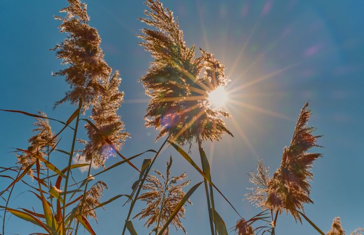 Погода в ЛНР на ближайшие сутки: до +33°C, возможны грозы и сильный ветер