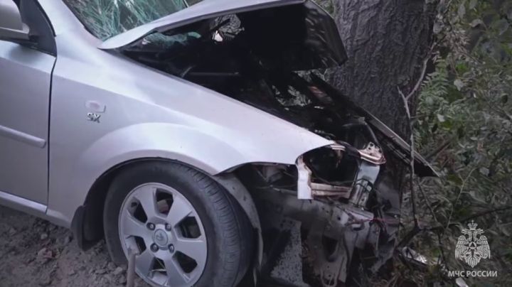 Столкновение авто с деревом унесло жизнь человека в ЛНР: тело из машины доставали спасатели
