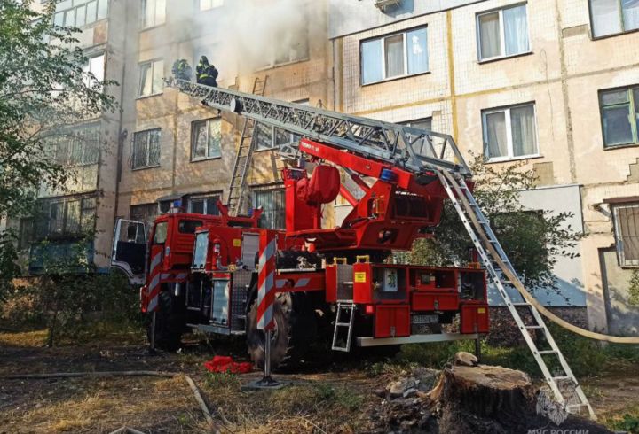 Вытащили из огня семью и котов: в Луганске МЧС спасли маленького ребёнка и его родителей