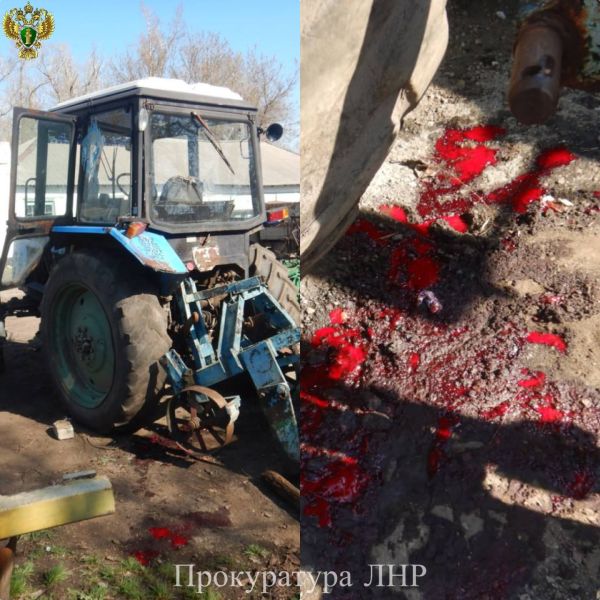 В ЛНР тракторист без опыта наехал на коллегу: под суд пойдёт директор, допустившая его к работе