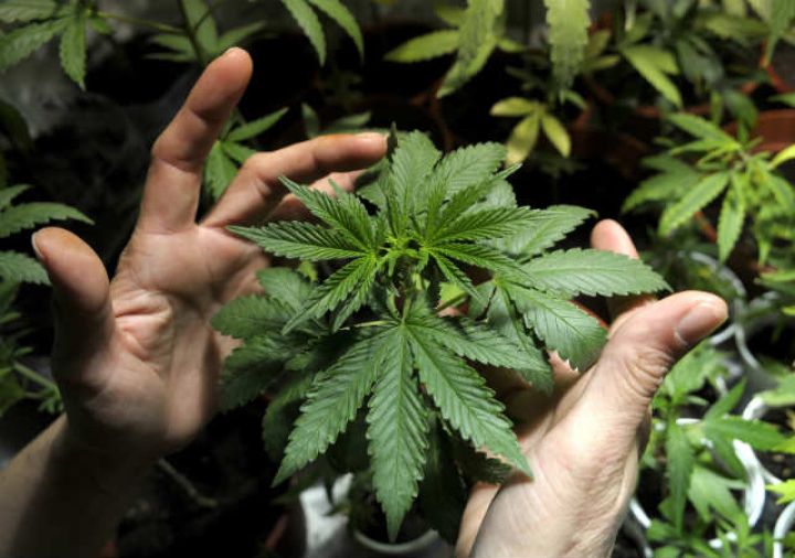 Правоохранителями ЛНР задержан наркоторговец из Харьковской области