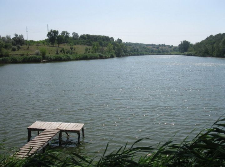 «Не стань жертвой воды»: МЧС ЛНР напомнило правила поведения на водоёмах