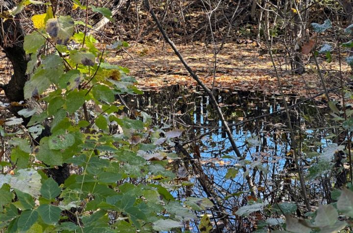 Водопровод в Брянке не могут починить уже 10 лет