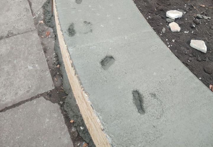 В Красном Луче найдены уникальные следы «городского Лося»