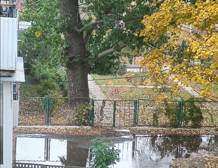 В Луганске нечистотами заливает детскую площадку и проход к детсаду 