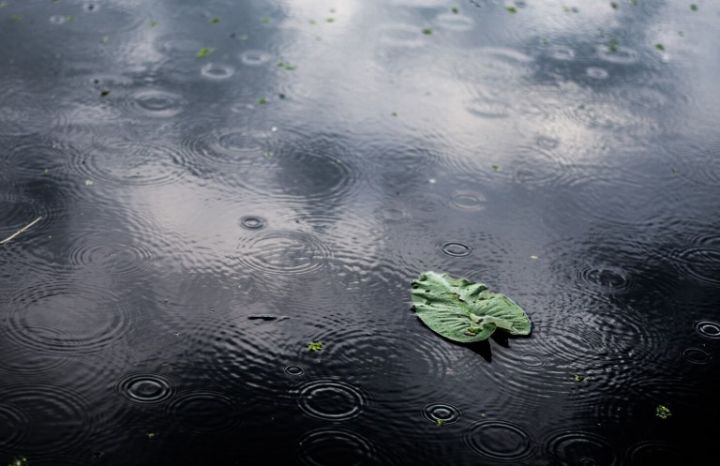 Дожди, гроза и снижение температуры. Прогноз погоды в ЛНР и Луганске на 27 октября