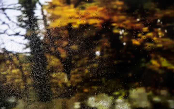 Экстренное погодное предупреждение объявлено в ЛНР: погода ухудшится уже этой ночью